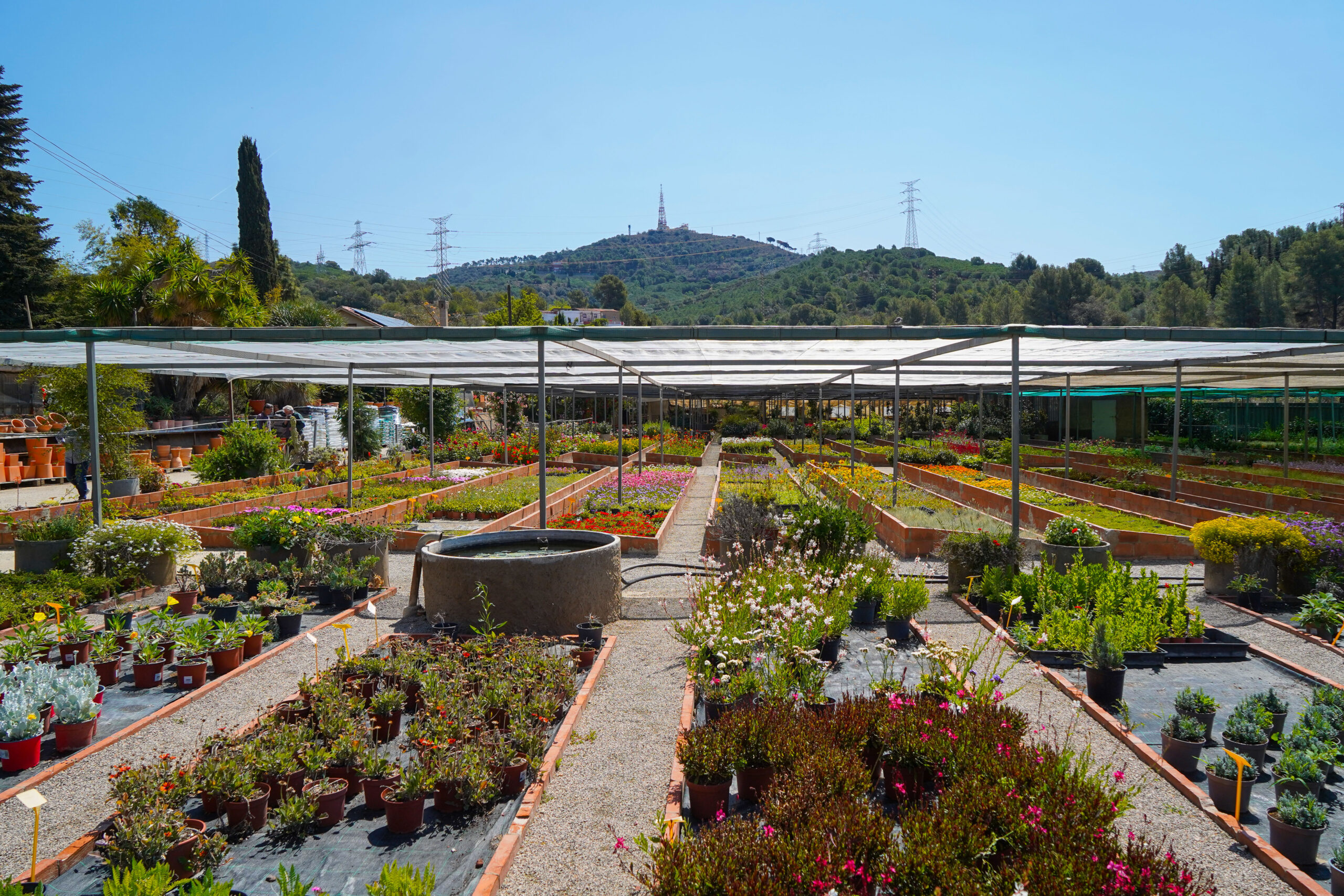 Horticultura Isart S.L., mayoristas y distribuidores en Sant Just Desvern